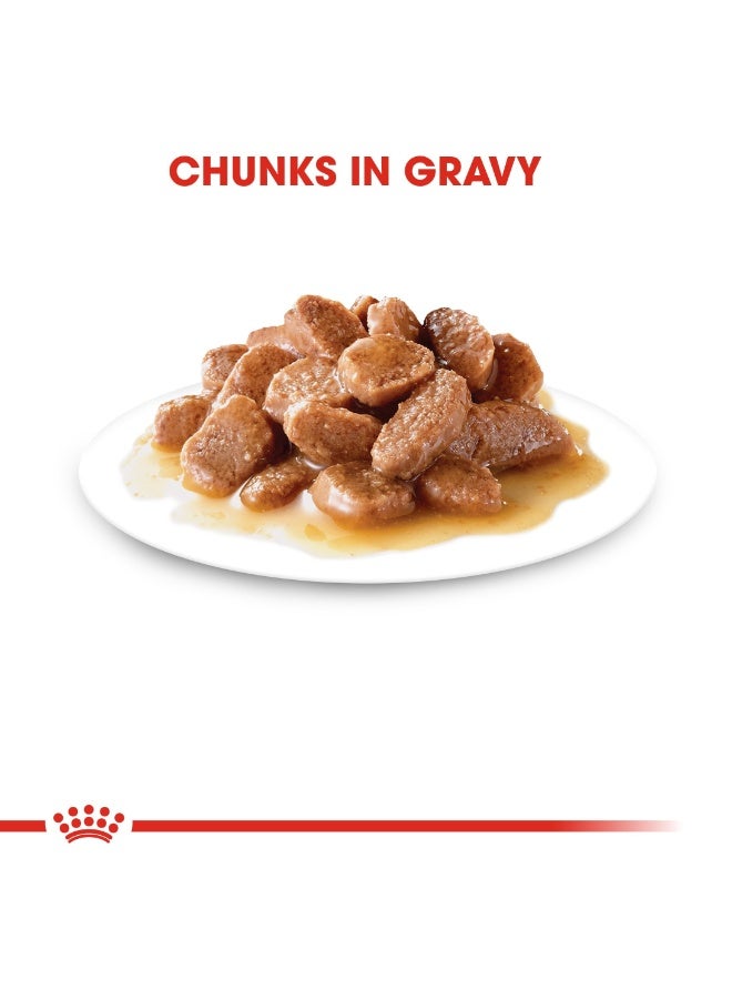 رويال كانين طعام رطب للعناية بكرات الشعر للقطط البالغة في المرق 85 جم (عبوة من 12 قطعة) - Image 2